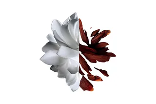 Givenchy L'INTERDIT EDP ROUGE
