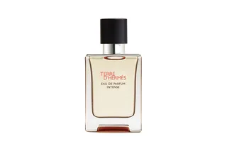 Hermès TERRE D'HERMES EDP INTENSE