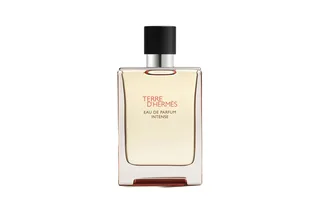 Hermès TERRE D'HERMES EDP INTENSE