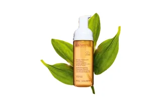 Clarins GENTLE RENEWING CLEANSING MOUSSE